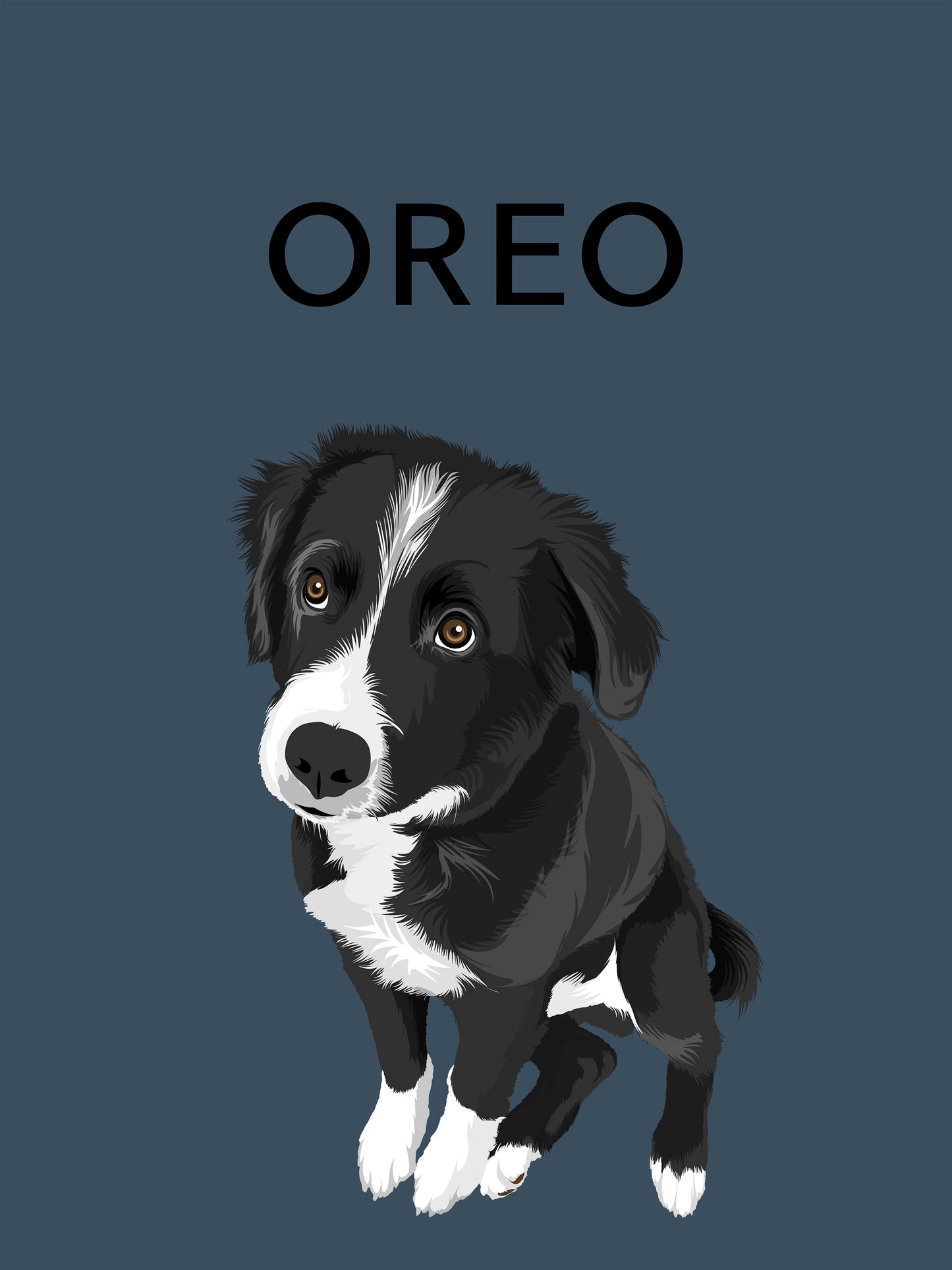 Single Pet Portrait